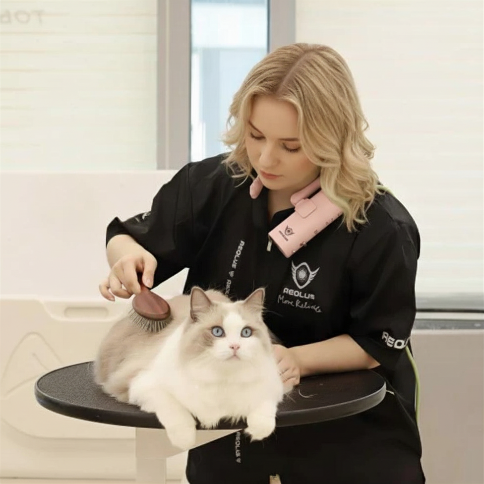 Aeolus Pink Neck Dryer Drying Cat