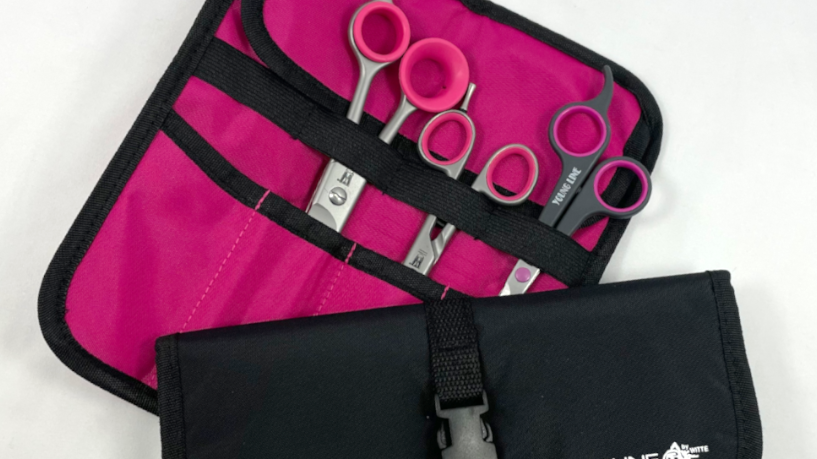 Golden Mean Capture Scissors Set with Holder Black (9717