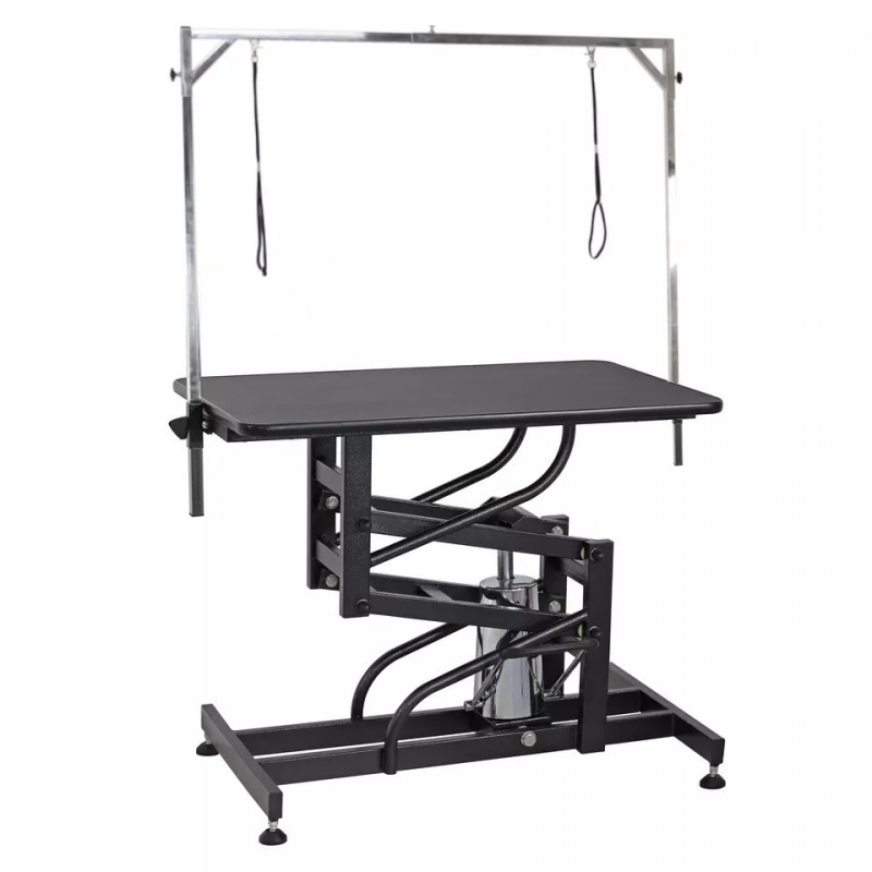 Aeolus Cost Effective Hydraulic Table with H bar grooming arm