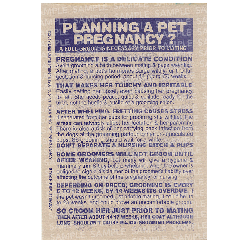 Planning a Pregnancy Card