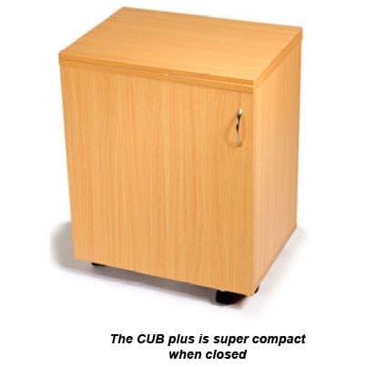 The Cub Plus Cabinet Closed