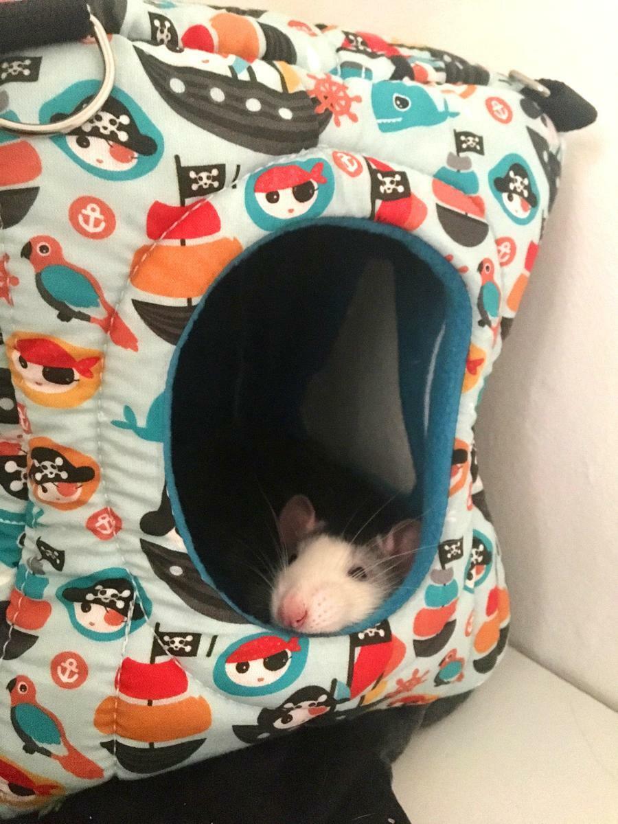 Fuzzbutt Luxury Snooze Cube for chinchillas, rats, small furries
