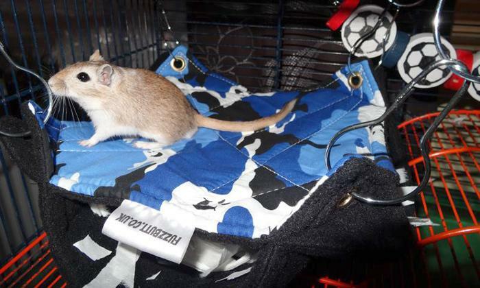 hamster double hammock, hamster,degu,mouse, cube,sleeping,cage