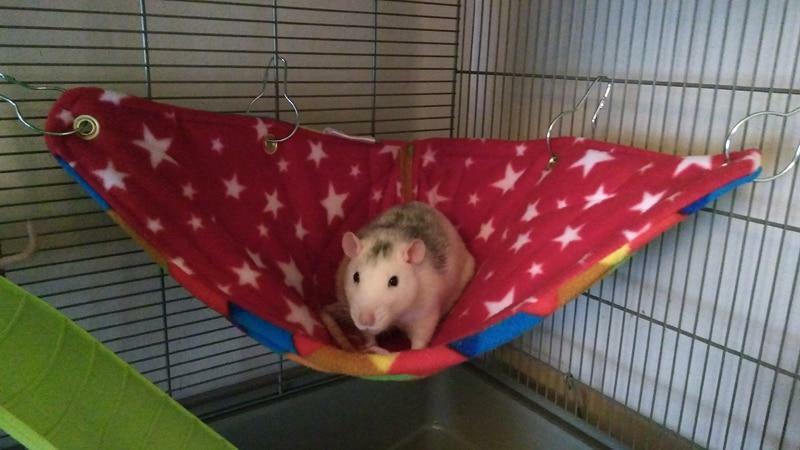 Corner rat hammock, corner chinchilla hammock, Fuzzbutt corner hammock, Corner Crush