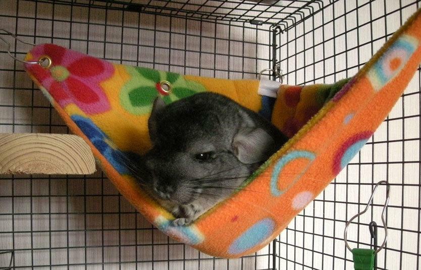 Corner rat hammock, corner chinchilla hammock, Fuzzbutt corner hammock, Corner Crush