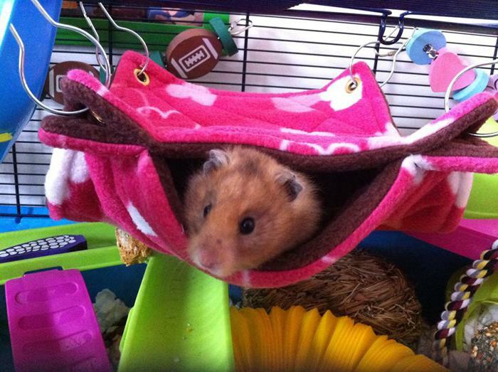 Fuzzbutt Stack-a-Fuzz mini double hammock for hamsters, mice, degu, gliders.