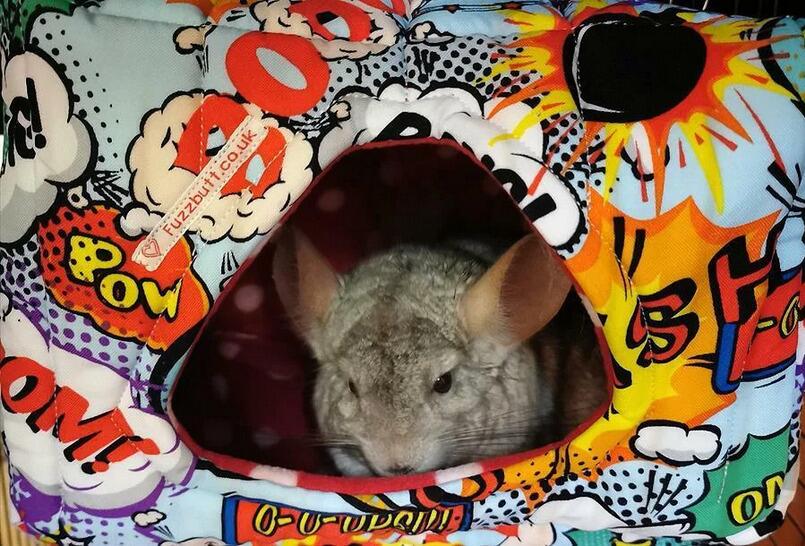 Luxury Hooj Cube, fleece rat house, rat cube, chinchilla house, guinea pig house, piggie house, chinchilla house, guinea pig house, piggie house, fuzzbutt cube