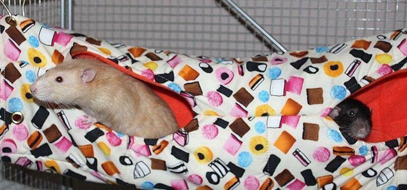 Large fleece hanging tube for rats, chinchillas, degu, small furries