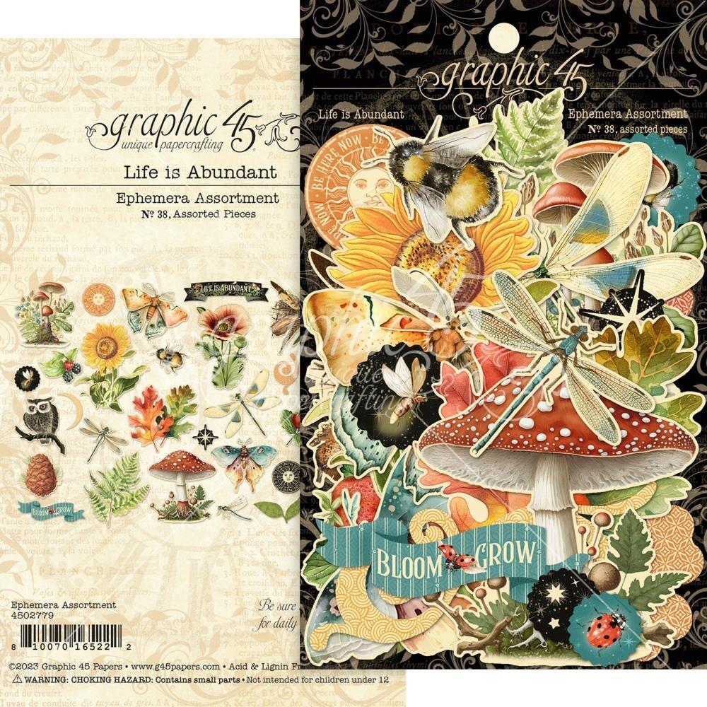 Graphic 45 Wild And Free - Collector's Master Pack with 12x12 Collection  Pack, 12x12 Patterns & Solids, 8x8 Paper Pad, Ephemera, Journaling Cards 