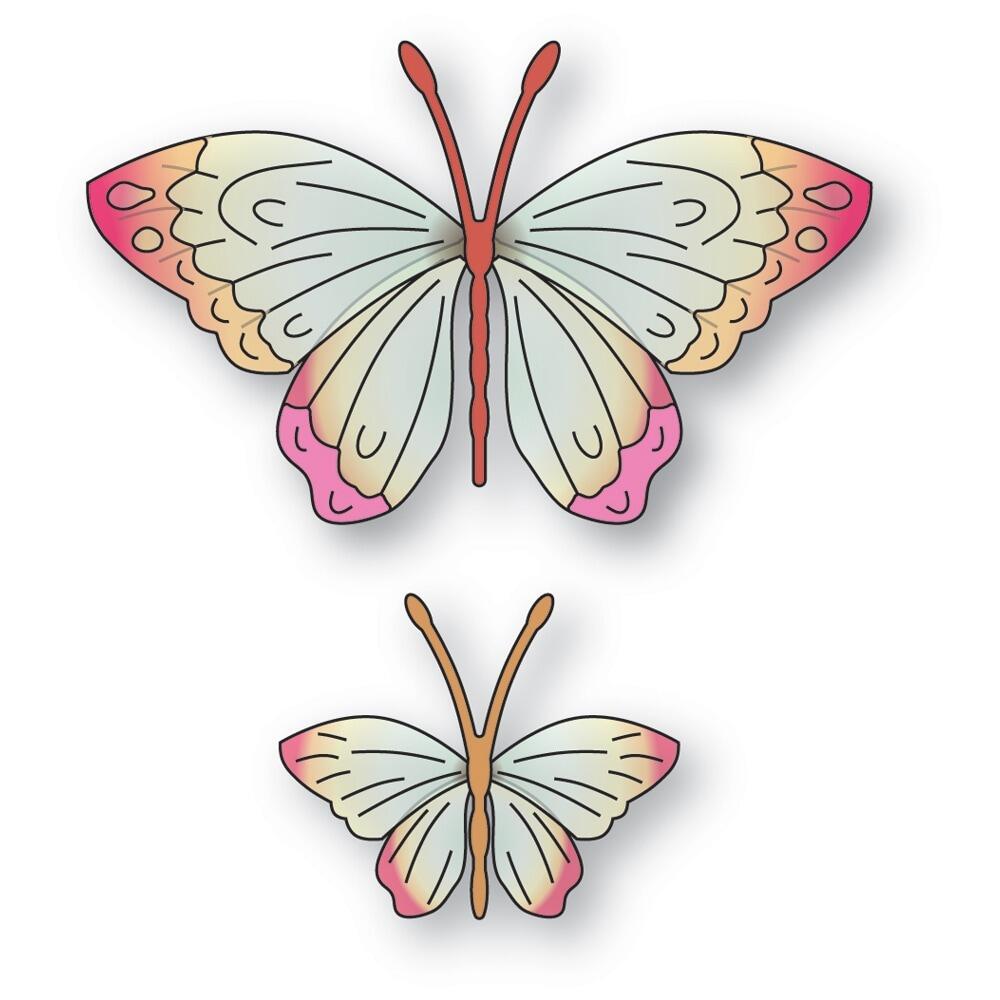 BUTTERFLY - まぁ Canyon Butterflies