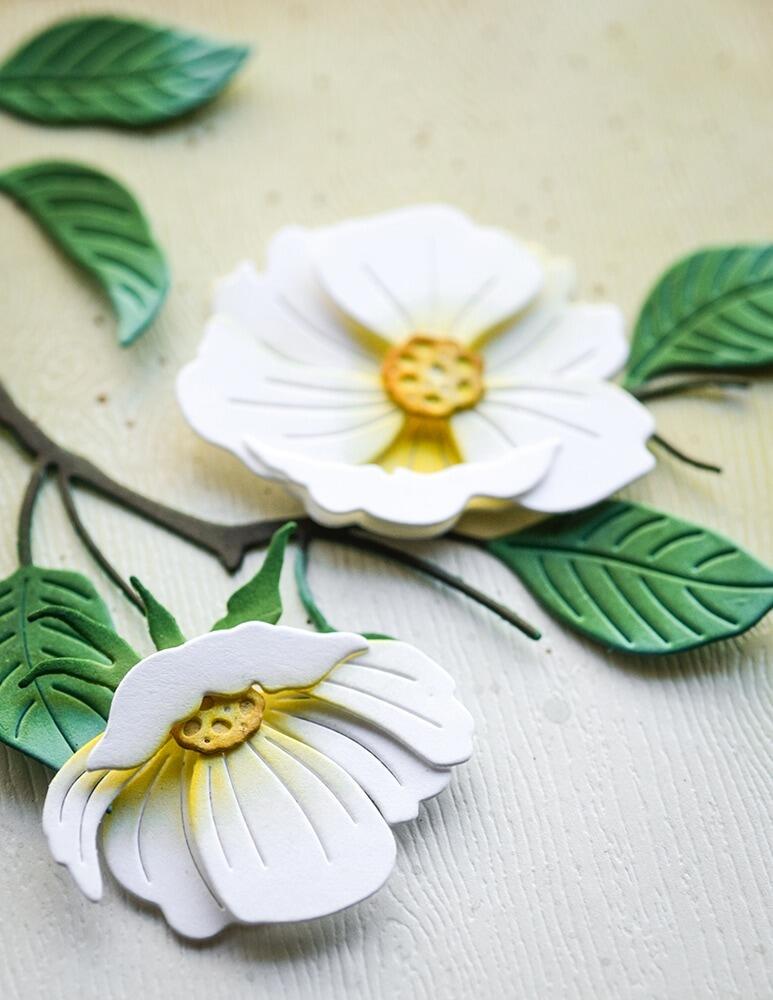 Memory Box - 94840 Delicate Bloom craft die