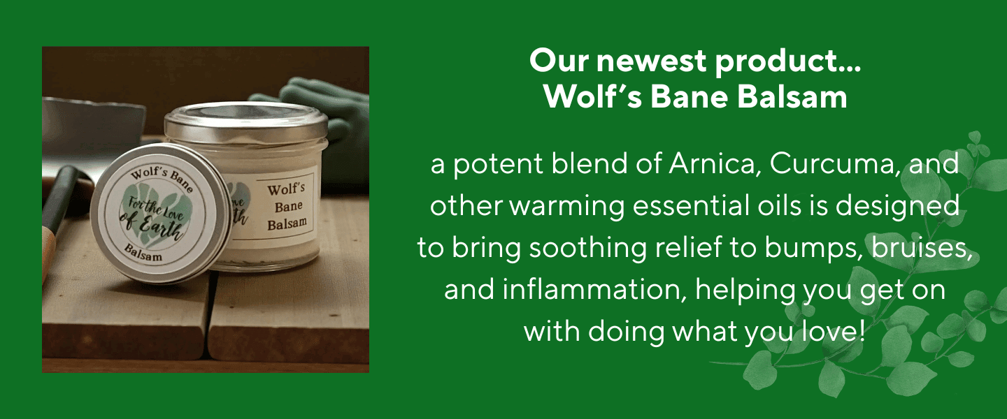 Natural wolfs balm balsam in a jar