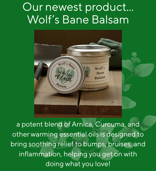 Natural wolfs balm balsam in a jar