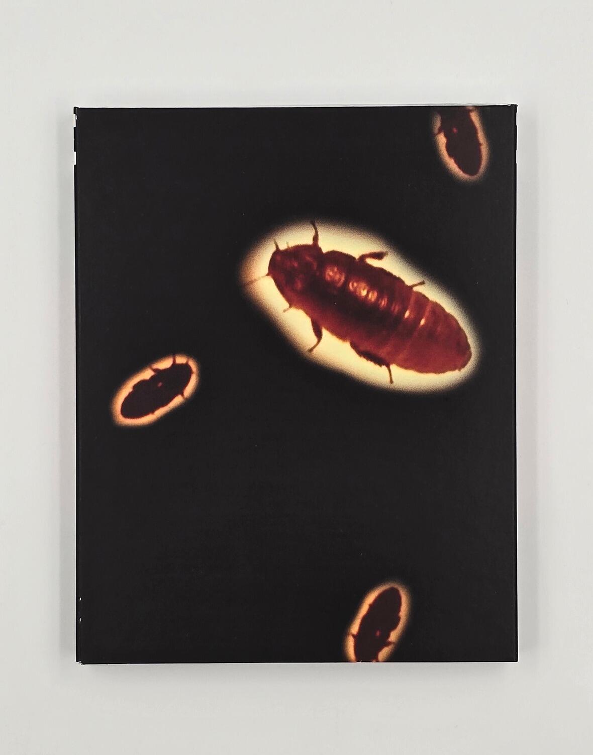 Red Cockroaches - Slipcover - Bu-Ray - Region Free - [New] - Saturn's Core - Item Image 2