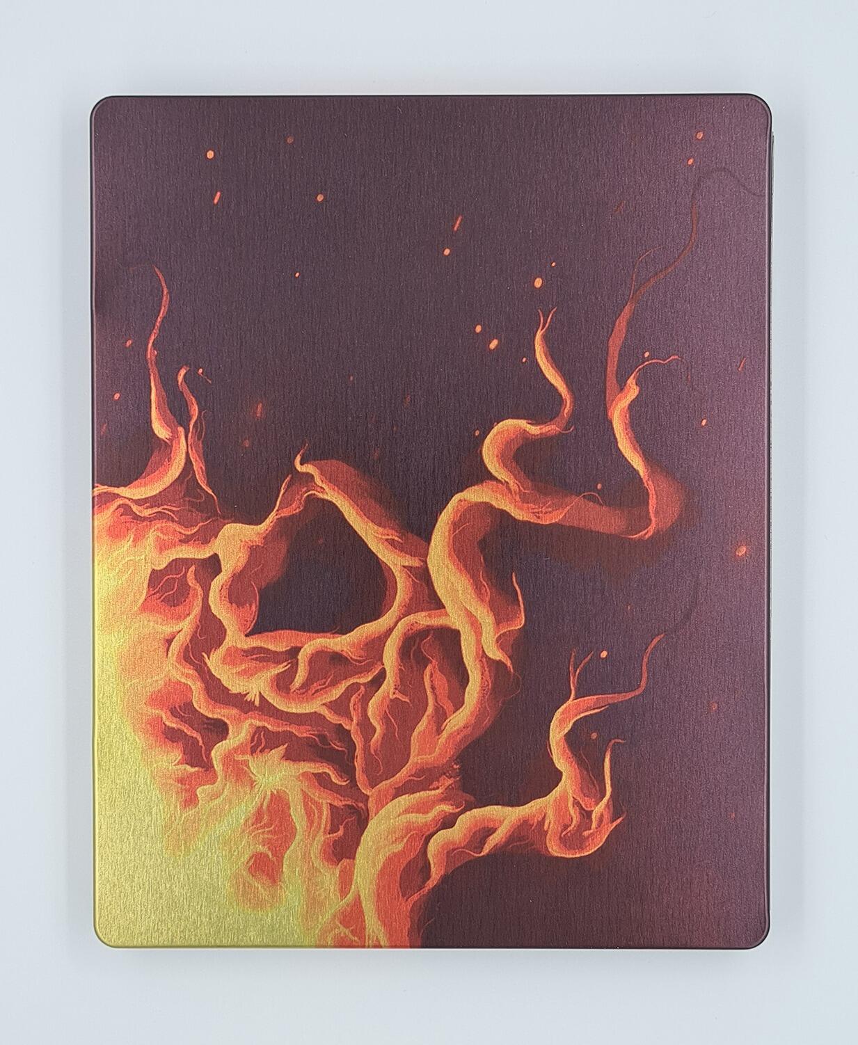 Saint Maud - Steelbook (Zavvi Exclusive) - Limited Edition - Blu-Ray - Region B - [Pre-owned] - Studio Canal - Item Image 2