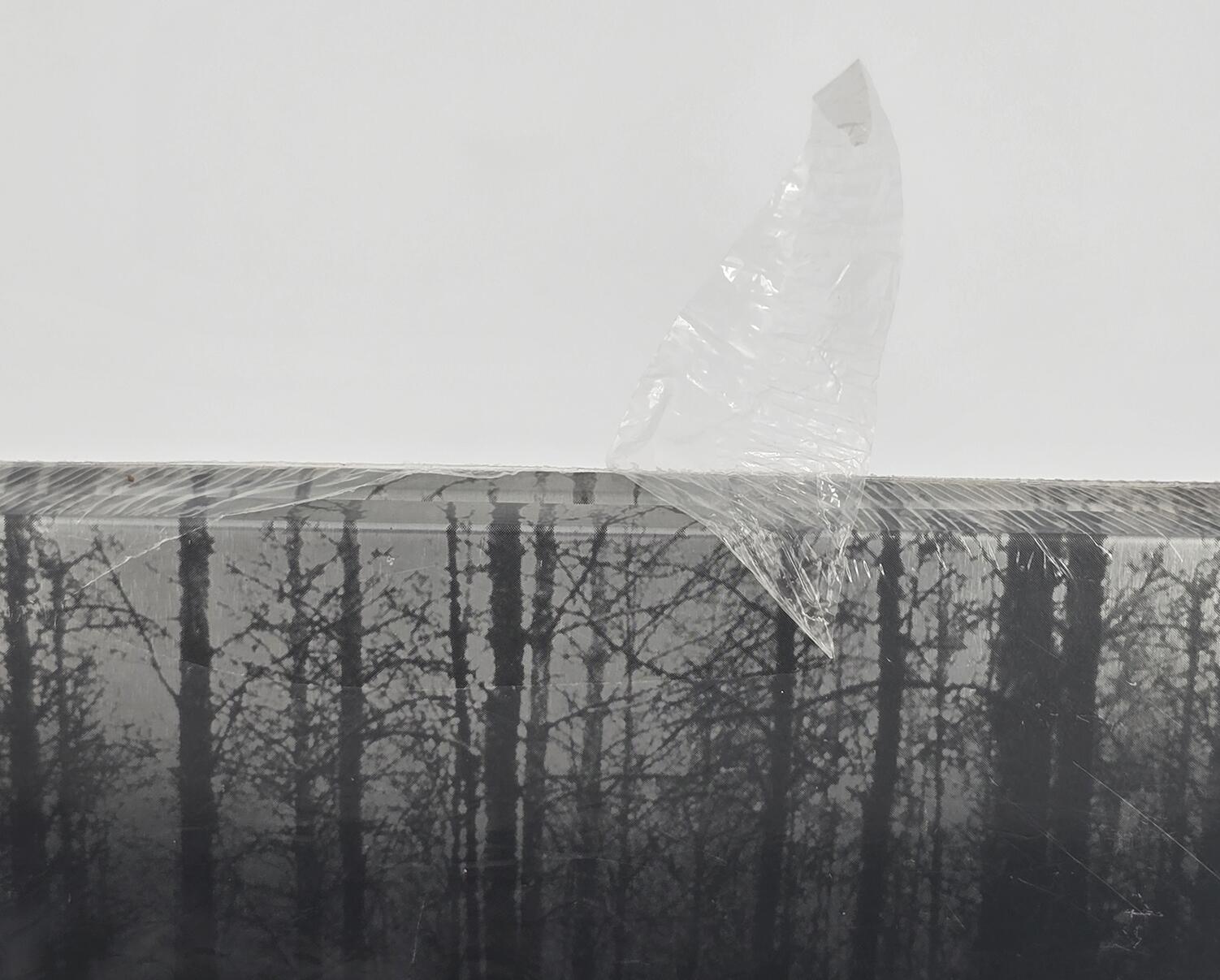 the-blair-witch-project---damage-1.jpg