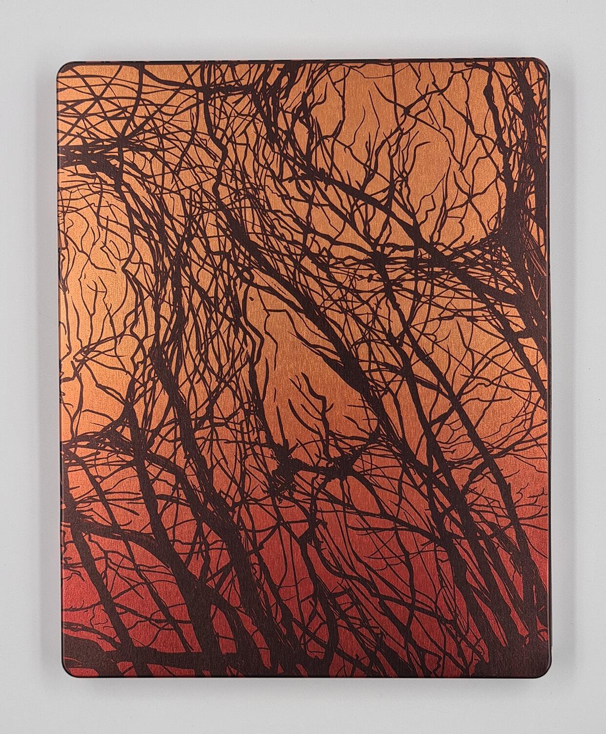 Friday the 13th - Mondo X Steelbook - Blu-Ray - Region Free - [Pre-Owned] - Warner - Item Image 2