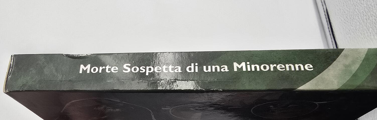 suspicious-death-of-a-minor---damage-2.jpg