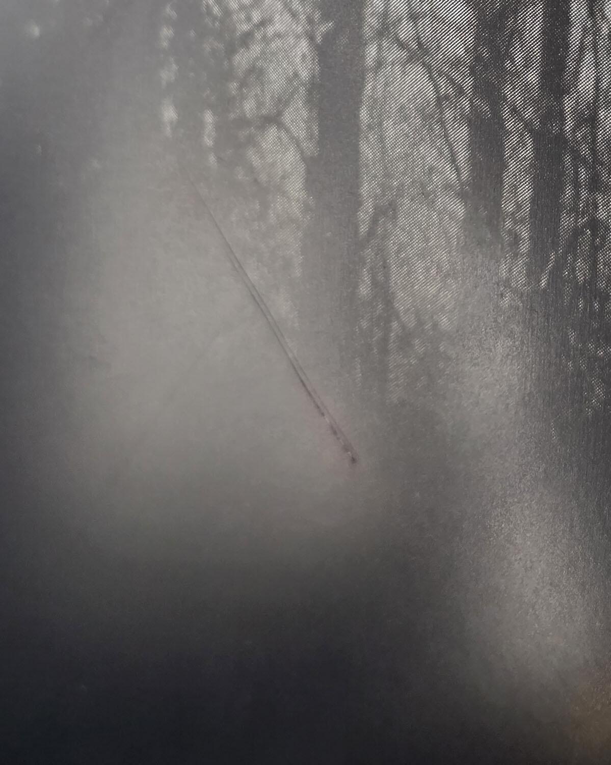 the-blair-witch-project---damage-2.jpg