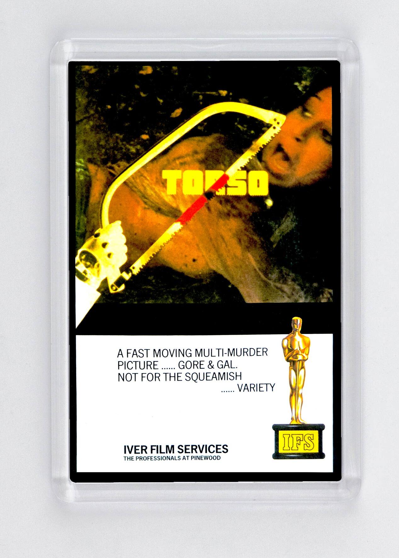 Torso - Fridge Magnet - (70mm x 45mm) - [CM-FM-7045-234] -  - Item Image 1