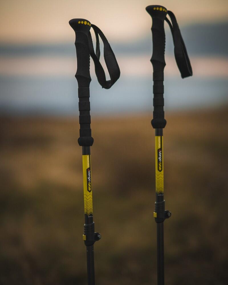 Annapurna (Carbon Walking Pole) - Single - Lifestyle1