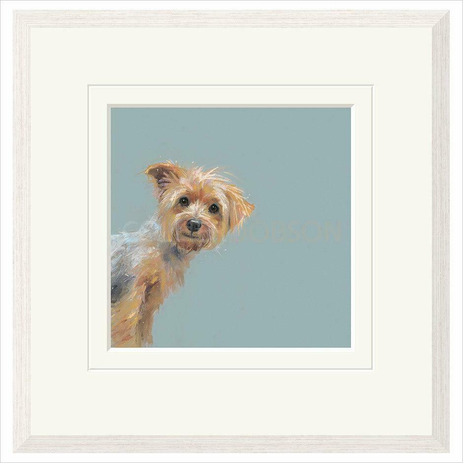 Yorkie - Framed 2