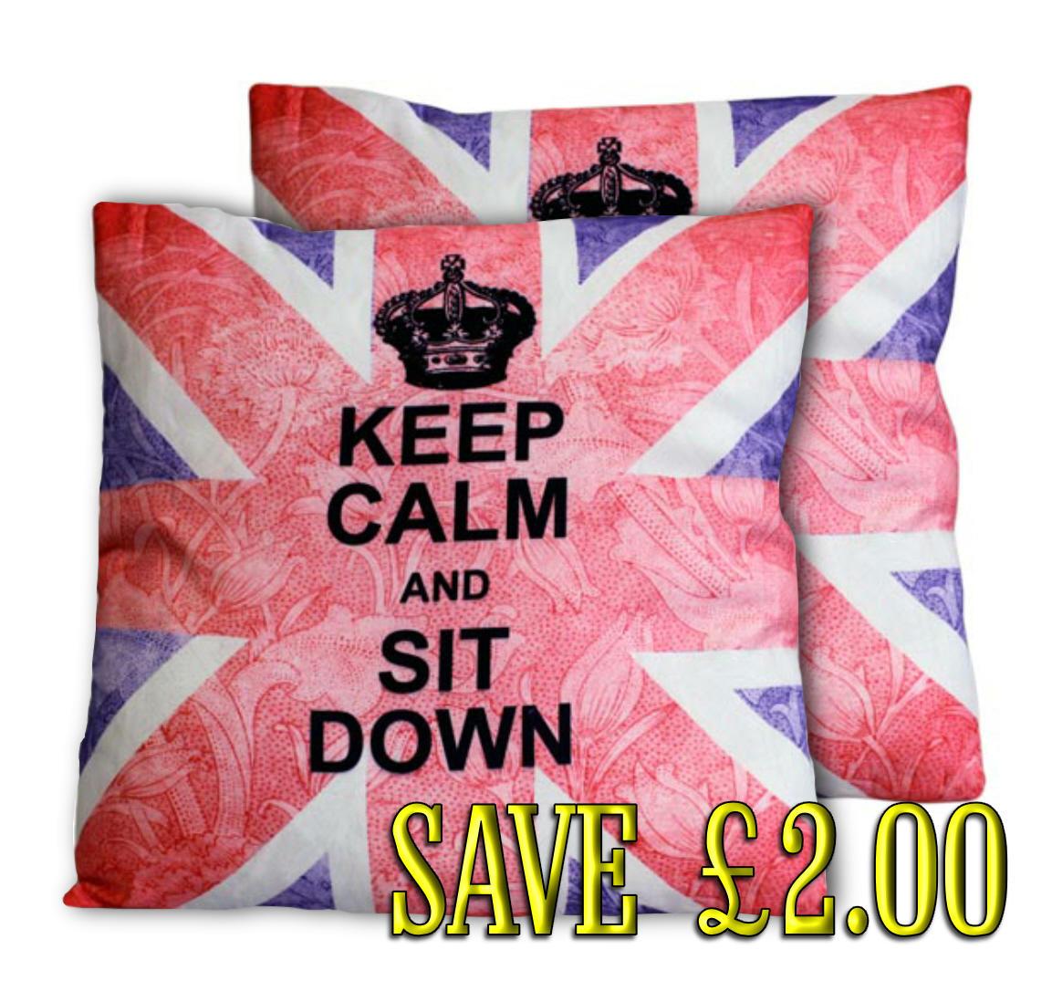 Pair of 'Keep Calm & Sit Down' single cushion cover