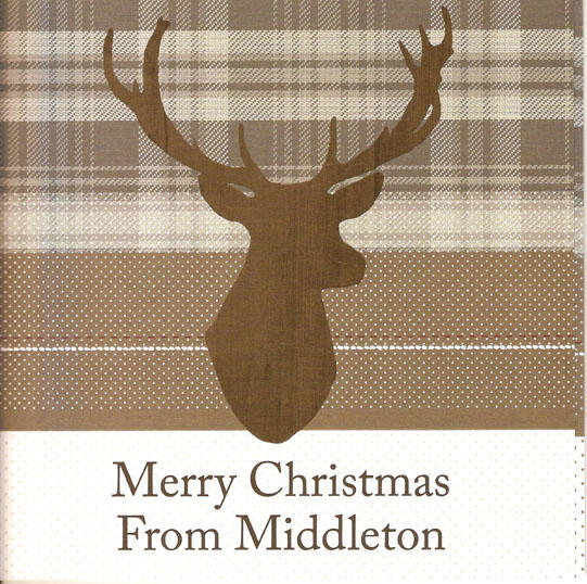 Highland Stag Christmas Card in Pack of Ten