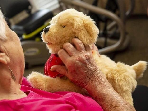 Robotic & Interactive Pets