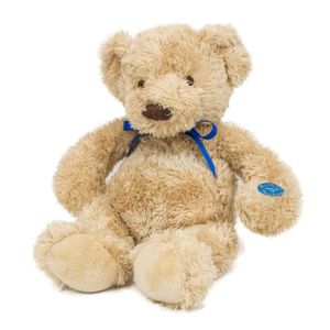 Arthur Musical Teddy Bear - MP3 Music Player