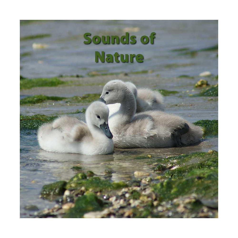 Sounds of Nature CD