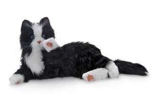 Companion Cat Black & White Tuxedo Cat | Robotic Cat | Joy For All