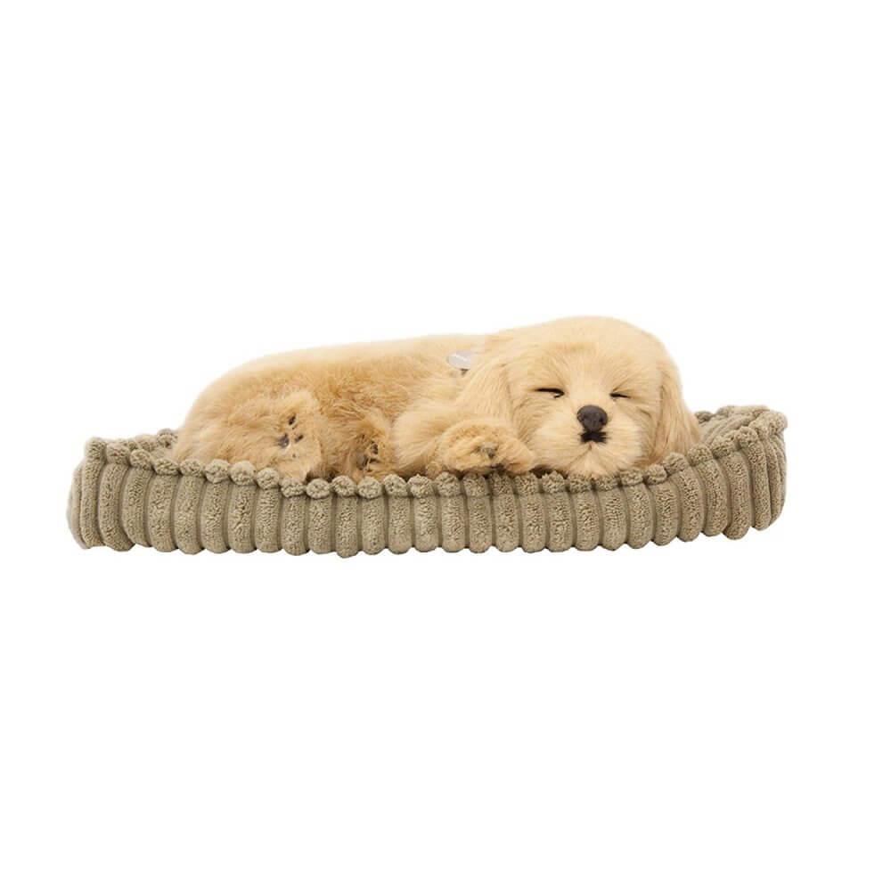 Perfect petzzz golden retriever plush hot sale