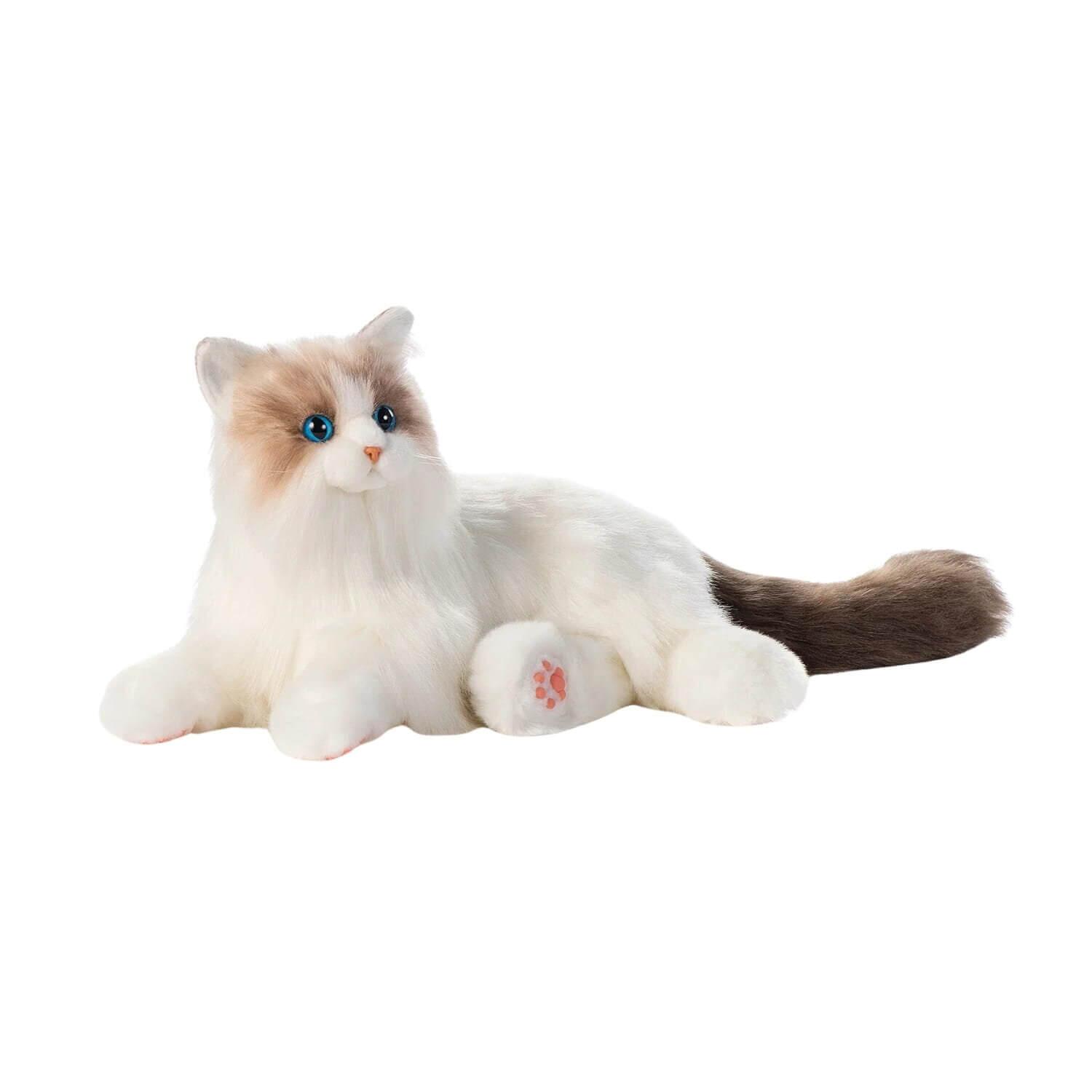 Percy - Ragdoll Cat - Interactive Pet