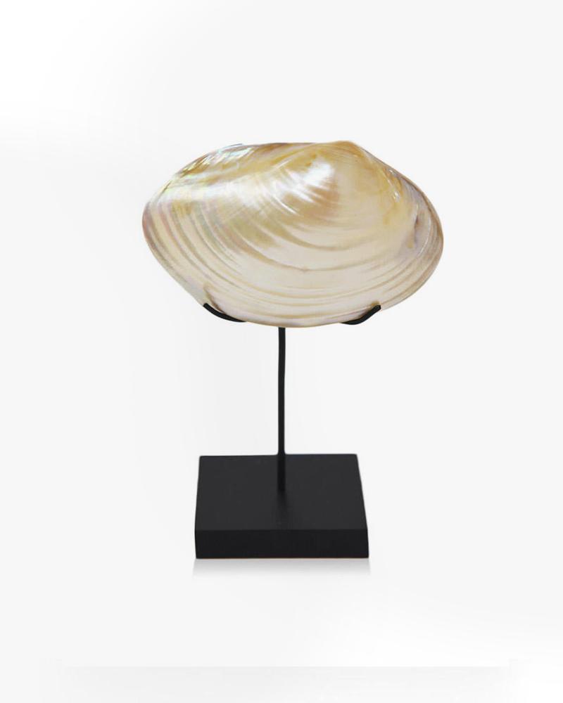 shell, decor, nautical, aura london, luxury accessories