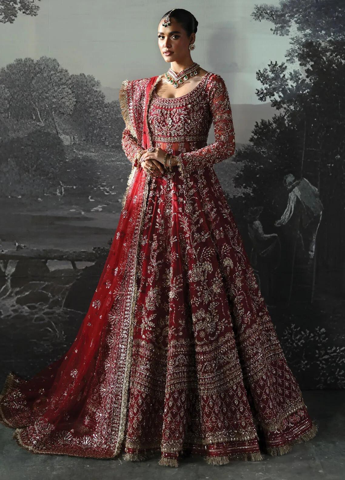 D-01 Anastasia Afrozeh Embroidered Net Long Gown Dress Bridal Collection
