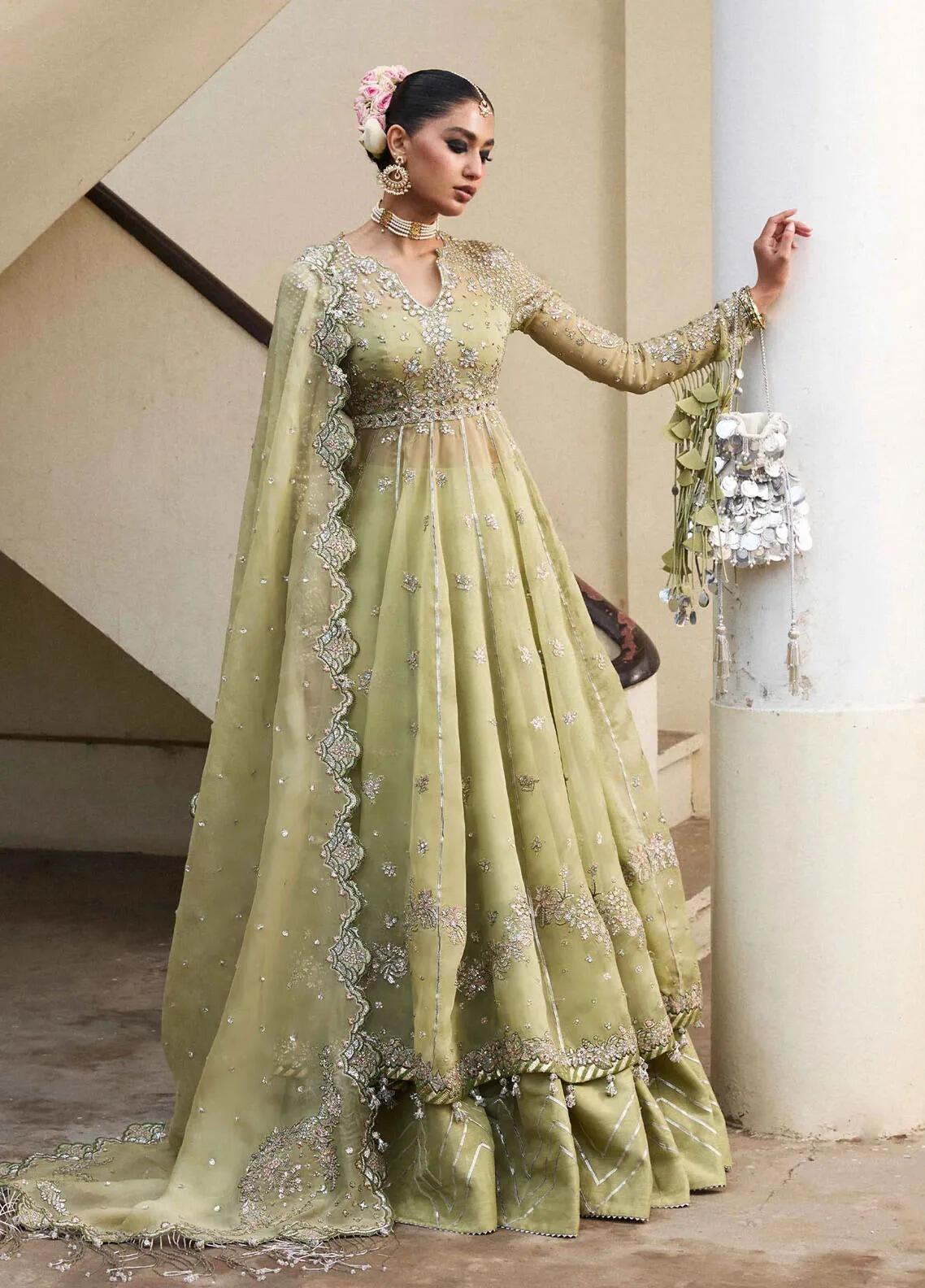 Tahiri Darling by Hussain Rehar Apple Green Embroidered Organza Peshwas  Dress