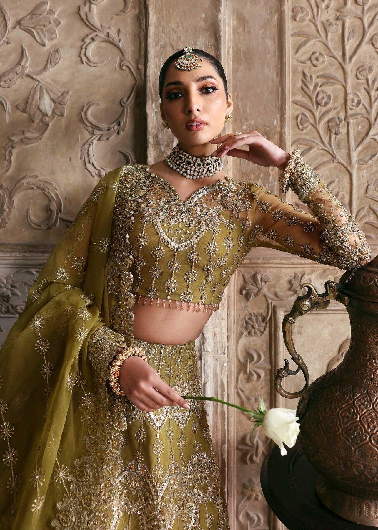 Akbar Aslam Makira Pakistani Net Lehenga Choli main image 0