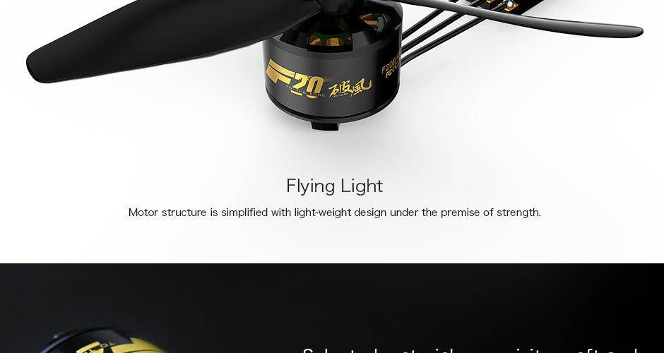 flying-light-f20.jpg