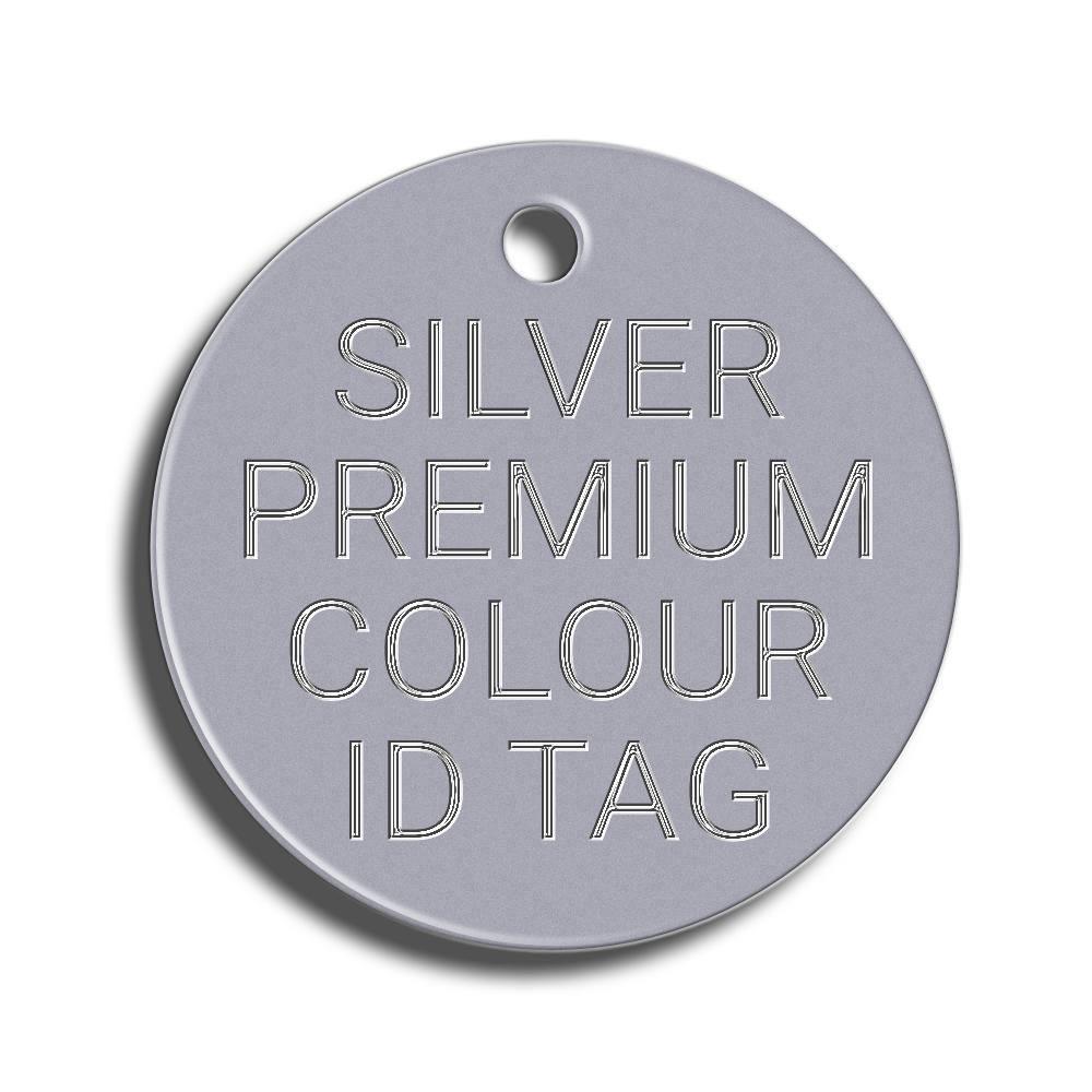 silver pet tag