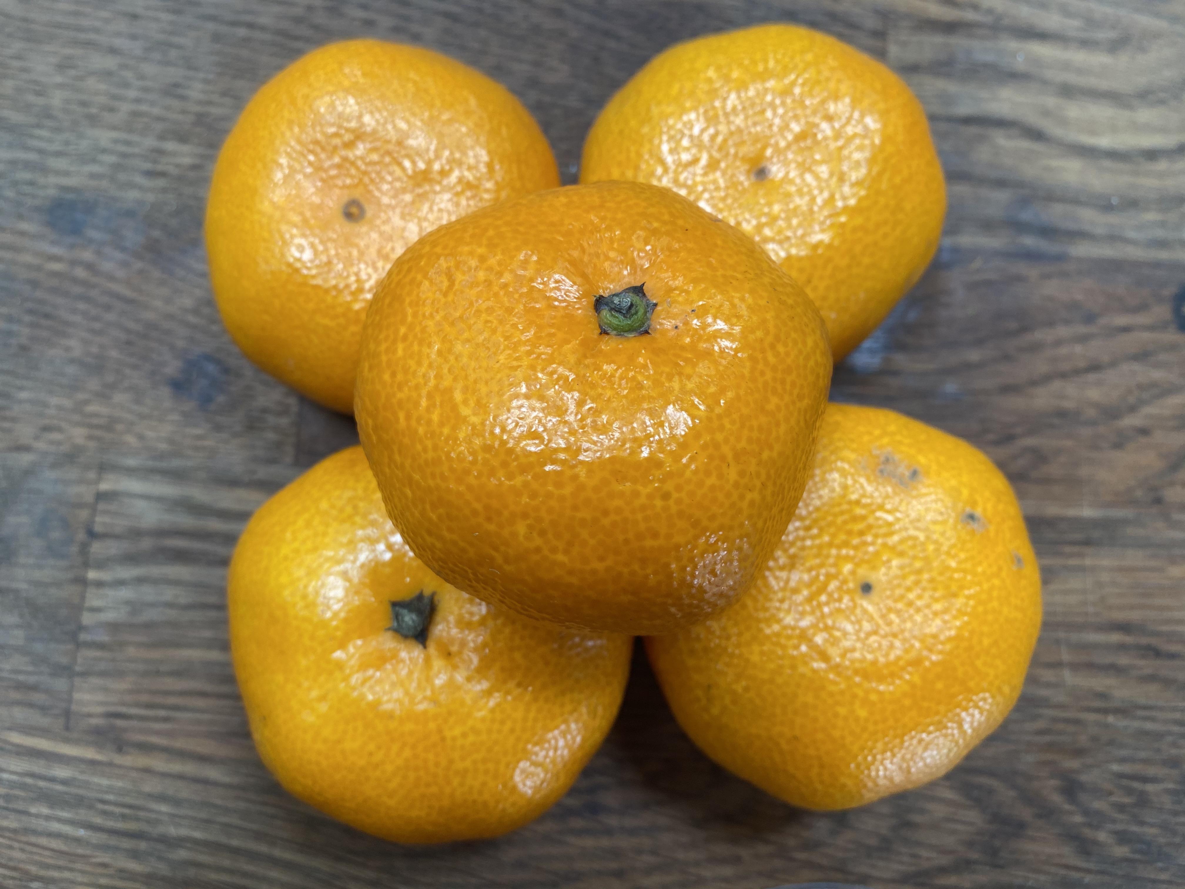 Satsumas