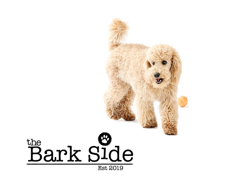 Welcome To The Bark Side's New Website