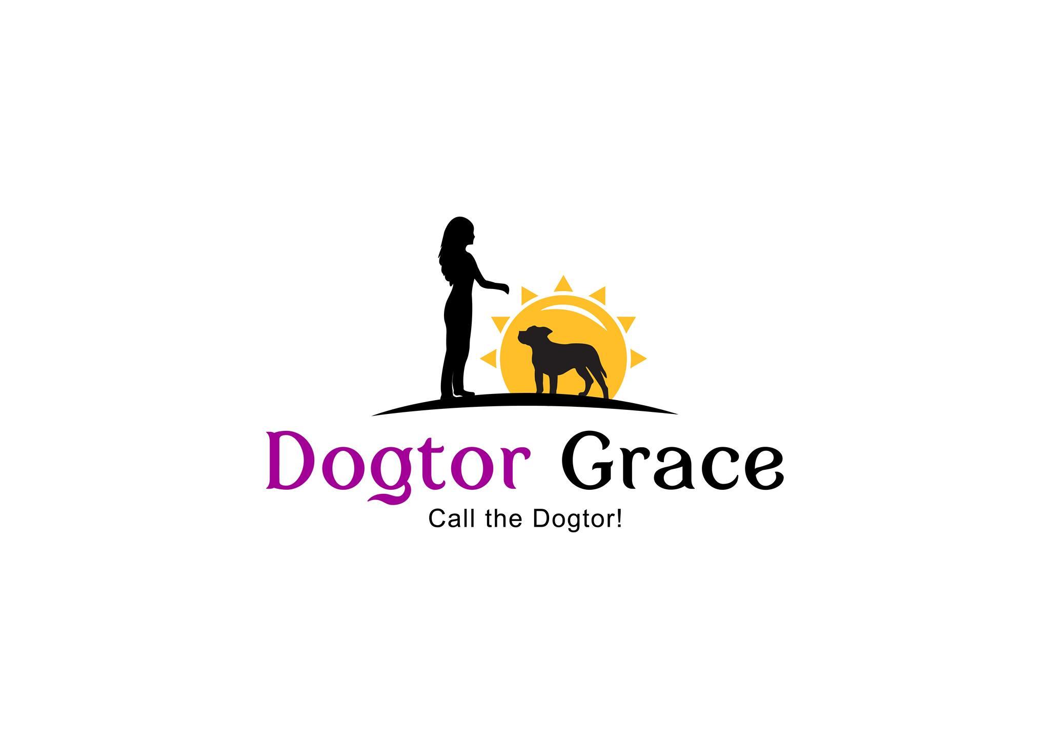 This is the Dogtor Grace logo.  It shows the silhouettes of a lady and a dog, and they look to have a good connection. They are standing in front of the sun.