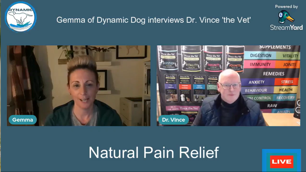 Natural Pain Relief - Dr. Vince recorded live