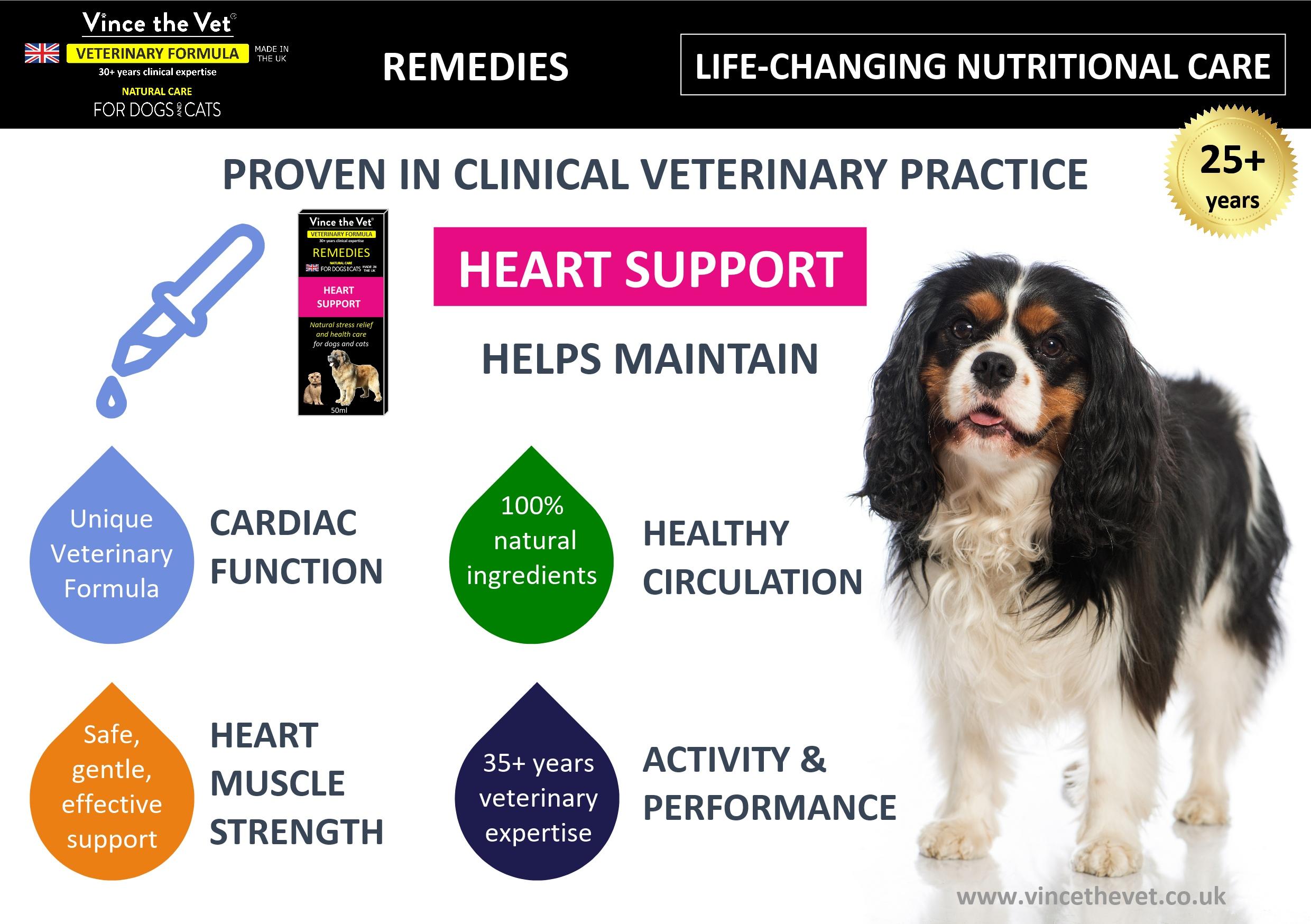 Best dog food for dogs sale with heart murmurs