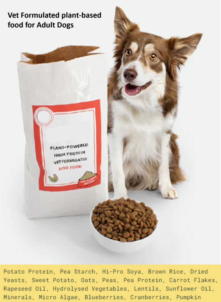 ULTRAPROCESSED FOOD FOR DOGS - THE POTENTIAL IMPACT ON HEALTH