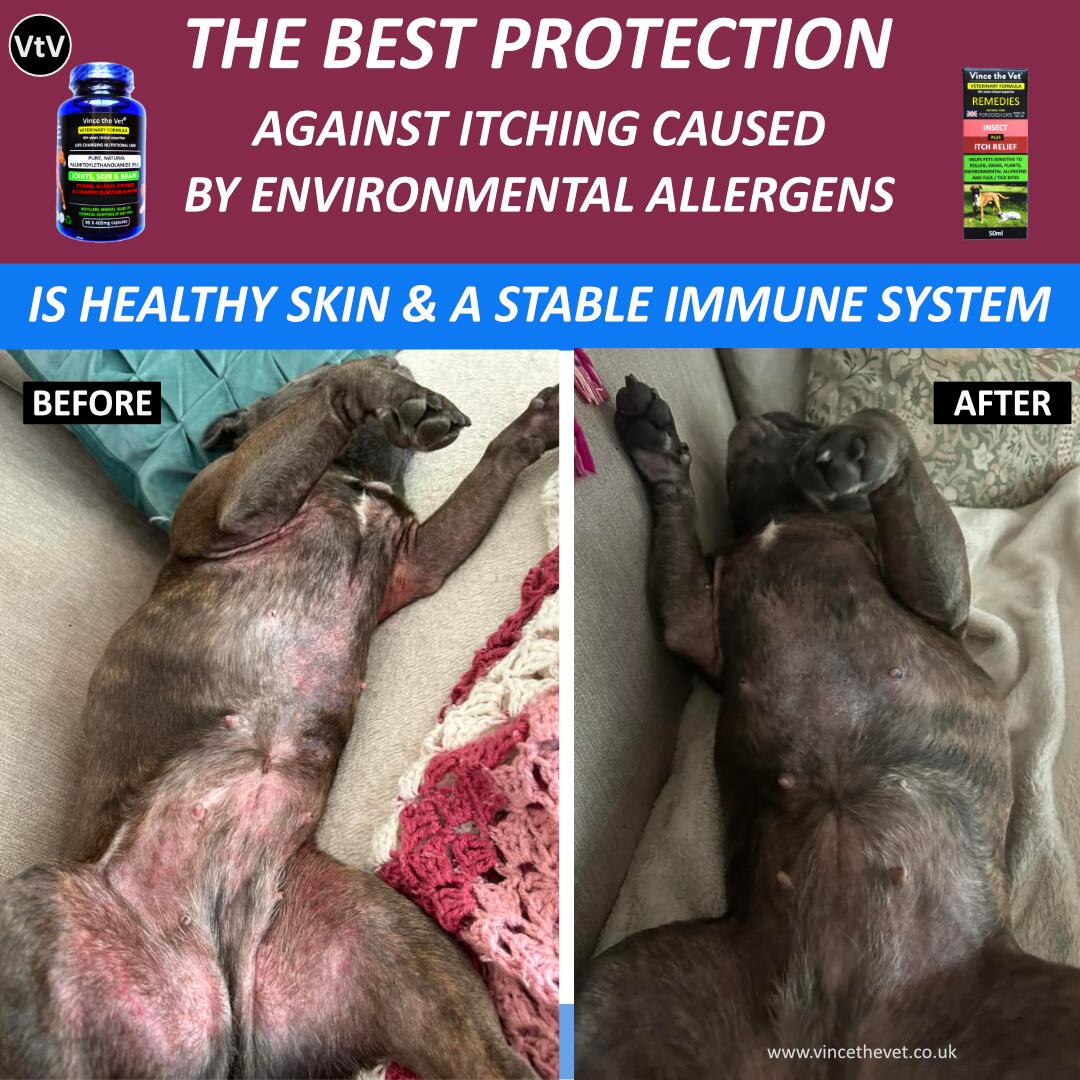best-protection-allergens.jpg