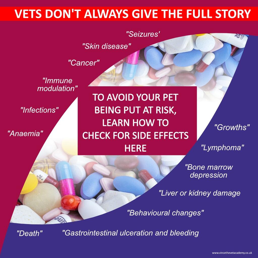 DISCOVER THE TRUTH ABOUT YOUR PET'S MEDICATION - CHECK FOR SIDE-EFFECTS NOW