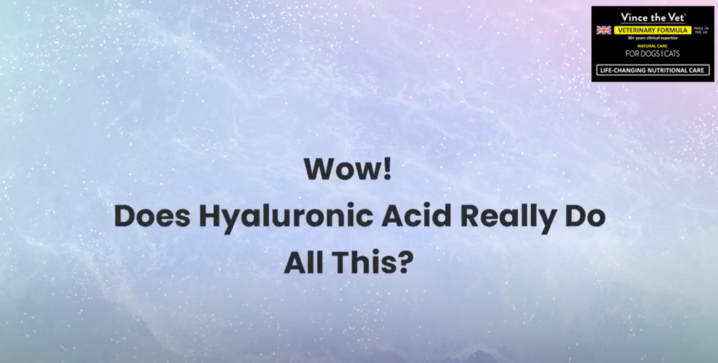 Wow! Does Hyaluronic Acid Really Do All This?