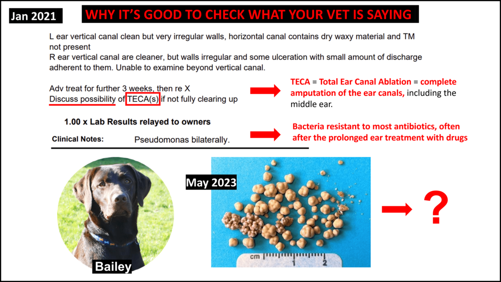 WHY IT'S GOOD TO CHECK WHAT YOUR VET IS SAYING